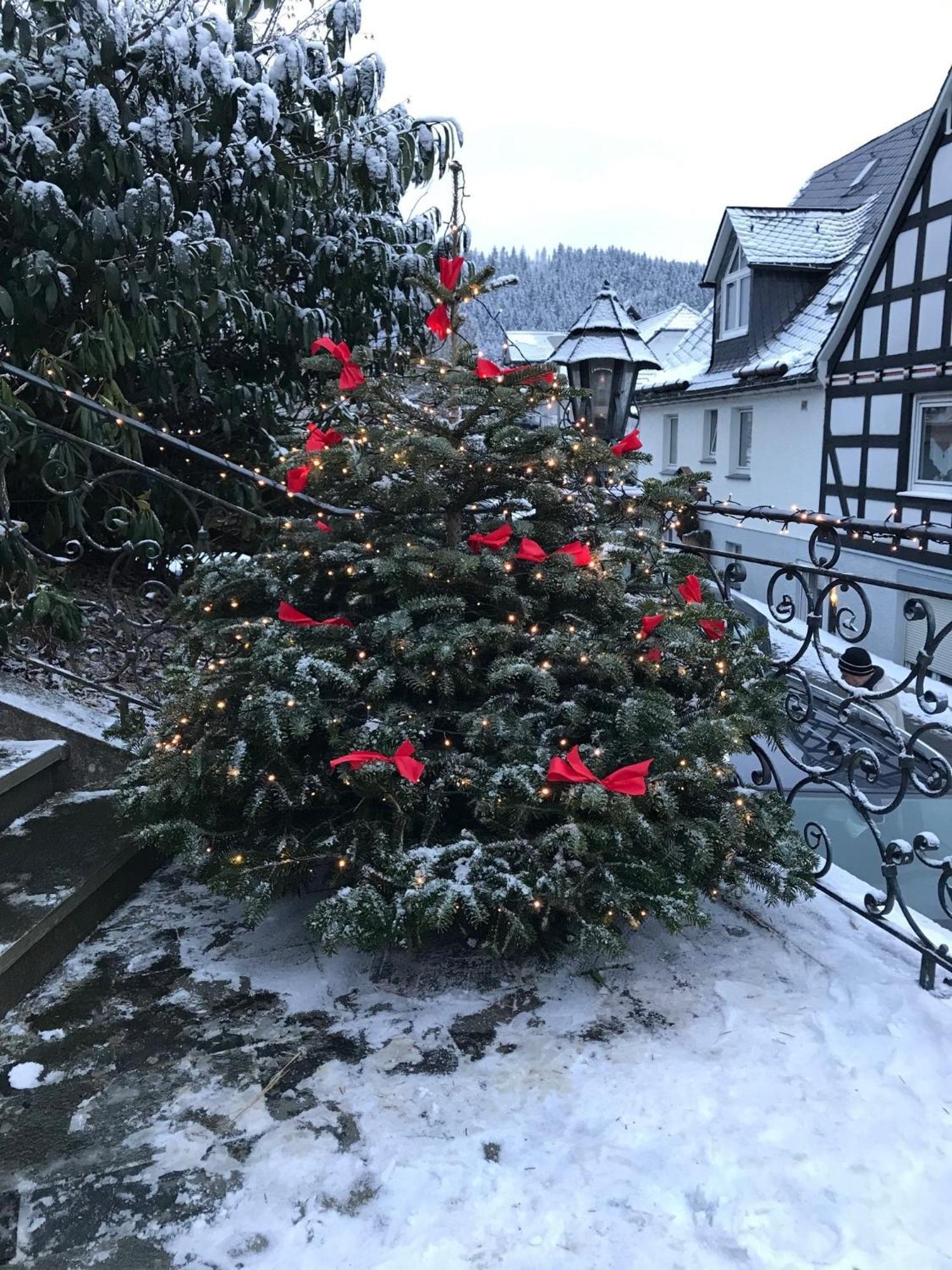Haus Westfeld Leilighet Schmallenberg Eksteriør bilde
